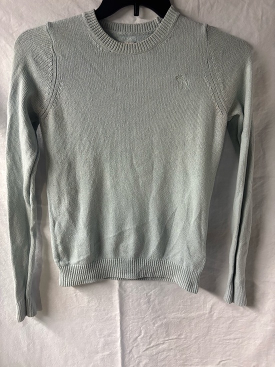 Abercrombie & Fitch Sweaters - Abercrombie & Fitch Mint Crewneck Sweater - Women